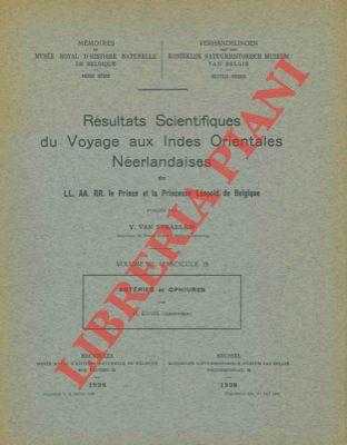 Astéries et Ophiures