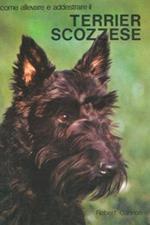 Come allevare e addestrare il terrier scozzese