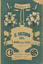 Il solitario del Monte degli Olivi