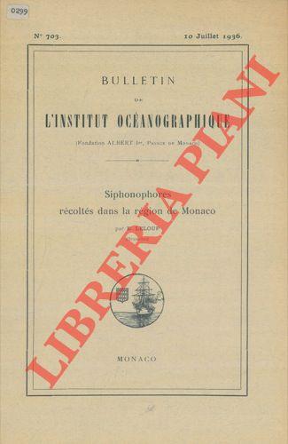 Libreria Piani