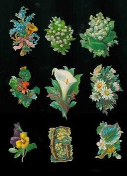 Fiori - copertina