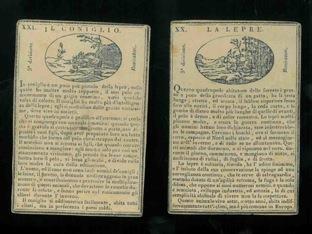 Il coniglio. La lepre - copertina