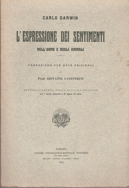 Arca dei libri