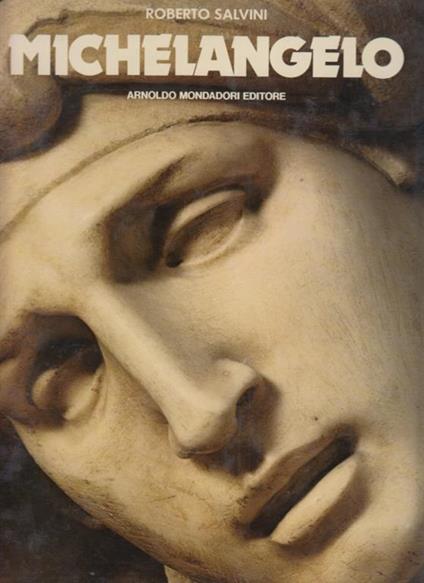 Michelangelo - Roberto Salvini - copertina