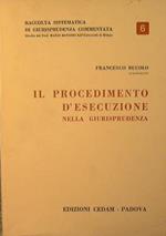 Il Procedimento d'esecuzione nella Giurisprudenza
