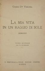 La mia vita in un raggio di sole. Romanzo