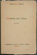 L' amore che torna. Romanzo