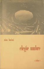 Elegie umbre