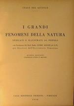 Voli di rondine