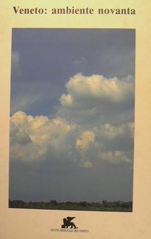 Veneto: ambiente novanta - copertina