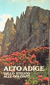 Alto Adige. Itinerari stradali. Dallo Stelvio alle Dolomiti - copertina