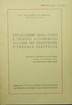 Utilizzazione degli scisti e tripoli bituminosi siciliani per produzione d'energia elettrica. Proposta di impianto a Castroreale, anche in riguardo alla elettrificazione ferroviaria
