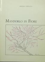 Mandorlo in fiore