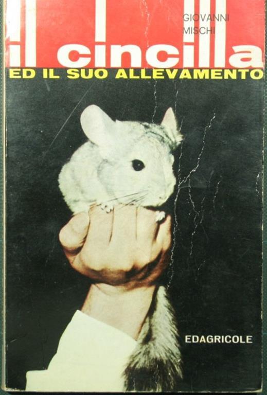 cincilla ed il suo allevamento Il - Giovanni Mischi - copertina
