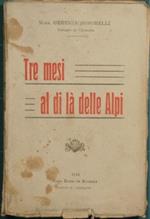 Tre mesi al di là delle Alpi