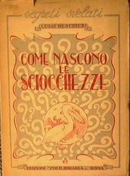 Come nascono le sciocchezze - Luigi Meschieri - copertina