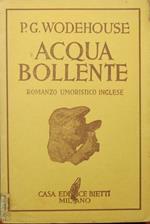 Acqua bollente. Romanzo umoristico inglese