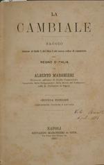 La cambiale. Saggio intorno al titolo X del libro I del nuovo codice di commercio del Regno d'Italia