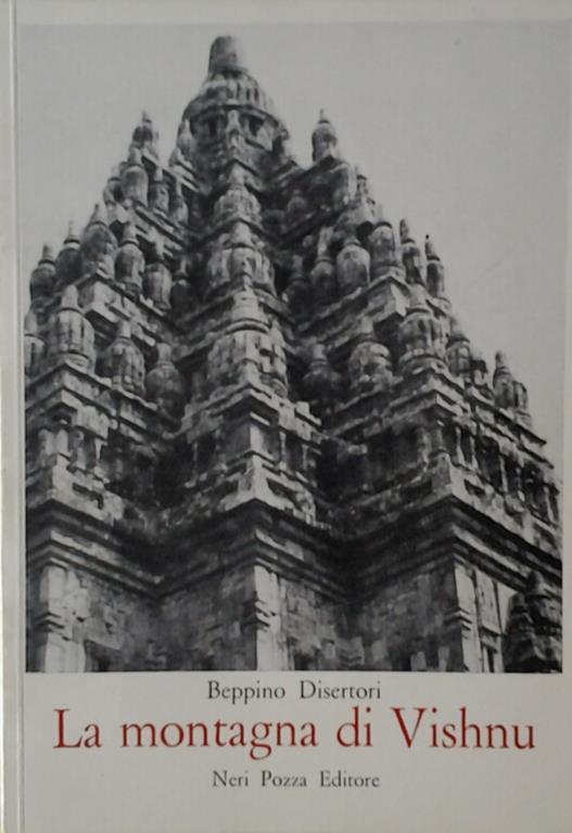 La montagna di Vishnu - Disertori Beppino - copertina