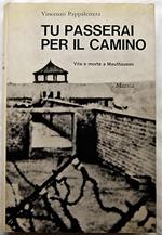 Tu Passerai Per Il Camino. Vita E Morte A Mauthausen