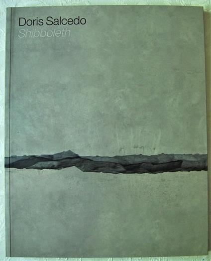Doris Salcedo. Shibboleth - copertina