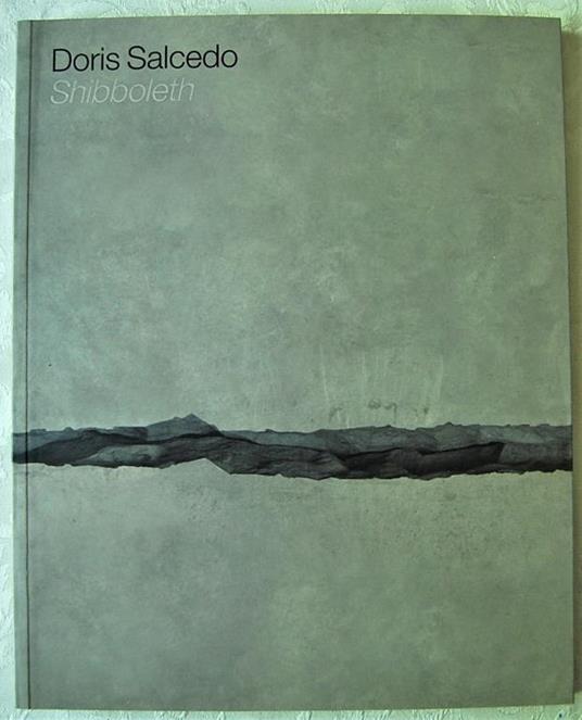 Doris Salcedo. Shibboleth - copertina