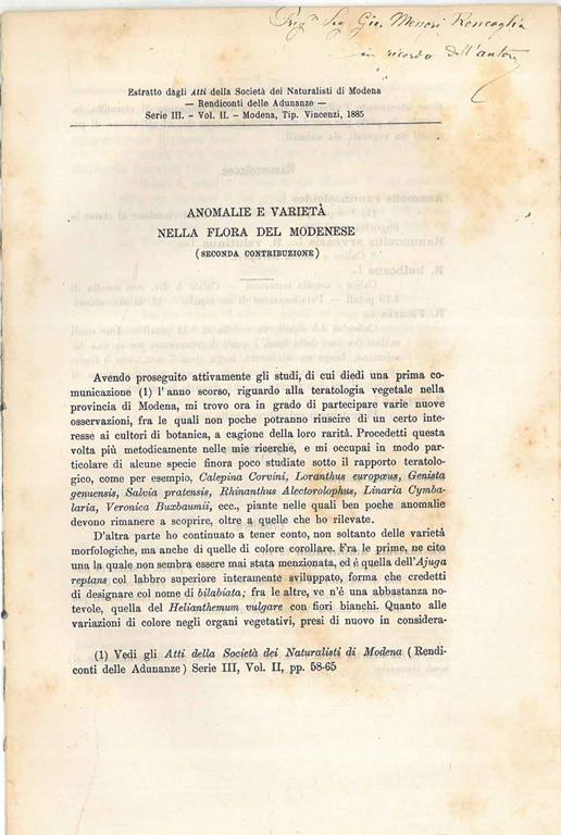 STUDIO BIBLIOGRAFICO ORFEO LIBRERIA ANTIQUARIA S.A.S.
