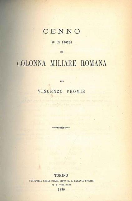 Cenno su un tronco di colonna miliare romana - Vincenzo Promis - copertina