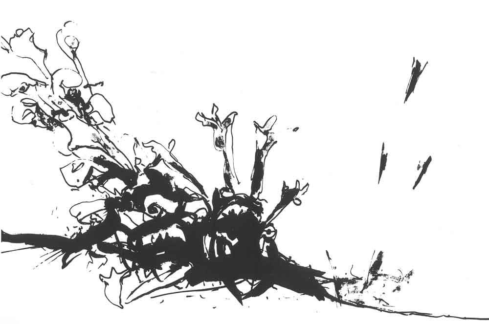 STUDIO BIBLIOGRAFICO ORFEO LIBRERIA ANTIQUARIA S.A.S.