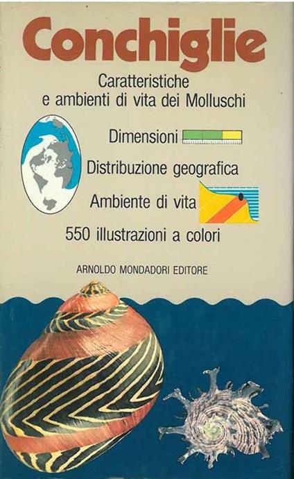 Conchiglie. Fotografie di G. Mazza - Bruno Sabelli - copertina