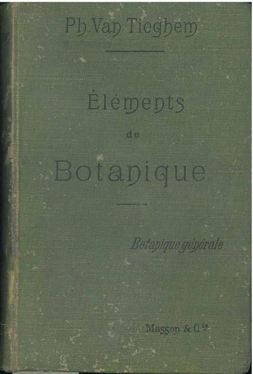 STUDIO BIBLIOGRAFICO ORFEO LIBRERIA ANTIQUARIA S.A.S.