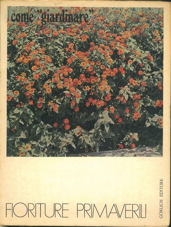 STUDIO BIBLIOGRAFICO ORFEO LIBRERIA ANTIQUARIA S.A.S.