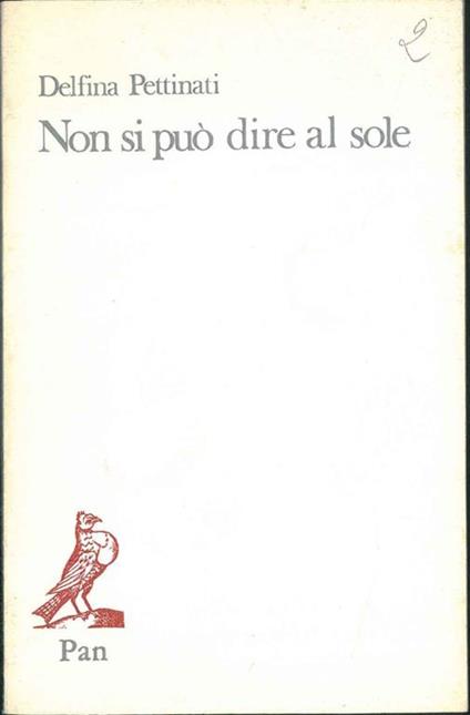 Non si può dire al sole - Delfina Pettinati - copertina