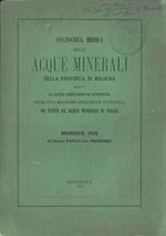Statistica medica delle acque minerali della provincia di Bologna seguita da alcune osservazioni ed avvertenze sopra una migliore istruzione statistica di tutte le acque minerali d'Italia. Copia autografata