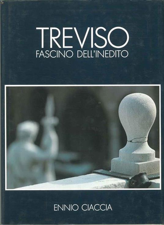 Treviso. Fascino dell'inedito - Adriano Madaro - copertina