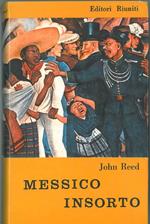 Messico insorto