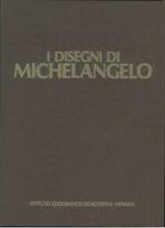 I disegni di Michelangelo