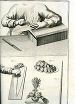 Recueil de planches, sur les Sciences, les Arts Liberaux, et les Arts Méchaniques, avec leur explication. Troisiéme livraison. Plumassier Panachier