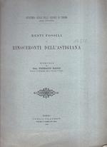 Resti fossili di rinoceronti dell'Astigiana. Memoria