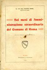 Sei mesi di amministrazione straordinaria del Comune di Roma. Relazione presentata al Consiglio Comunale