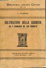 Coltivazione della sughera. Usi e commercio del suo prodotto