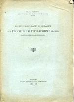 Reperti morfologici e biologici sul Trochilium Tipuliforme Clerck (Lepidoptera Aegeriidae)