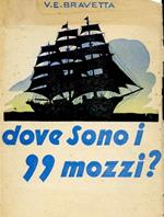 Dove sono i 99 mozzi? Romanzo d'avventure