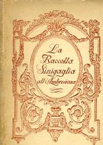La Raccolta Sinigaglia all'Ambrosiana. Appunti