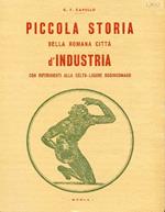 Piccola storia della romana città d'Industria con riferimenti alla celto ligure Bodincomago