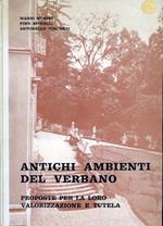Antichi ambienti del Verbano. Proposte per la loro valorizzazione e tutela