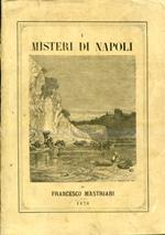 I Misteri di Napoli. Studi storico sociali