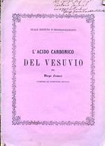 L' acido carbonico del Vesuvio