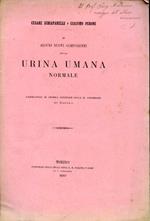 Di alcuni nuovi componenti della urina umana normale. Laboratorio di Chimica Generale della R. Università di Torino. Copia autografata