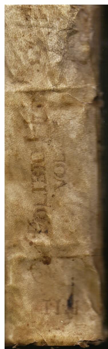 Polibio historico greco tradotto per m. Lodouico Domenichi. Con due fragmenti, ne i quali si ragiona delle republiche, & della grandezza di romani - Polibio - copertina